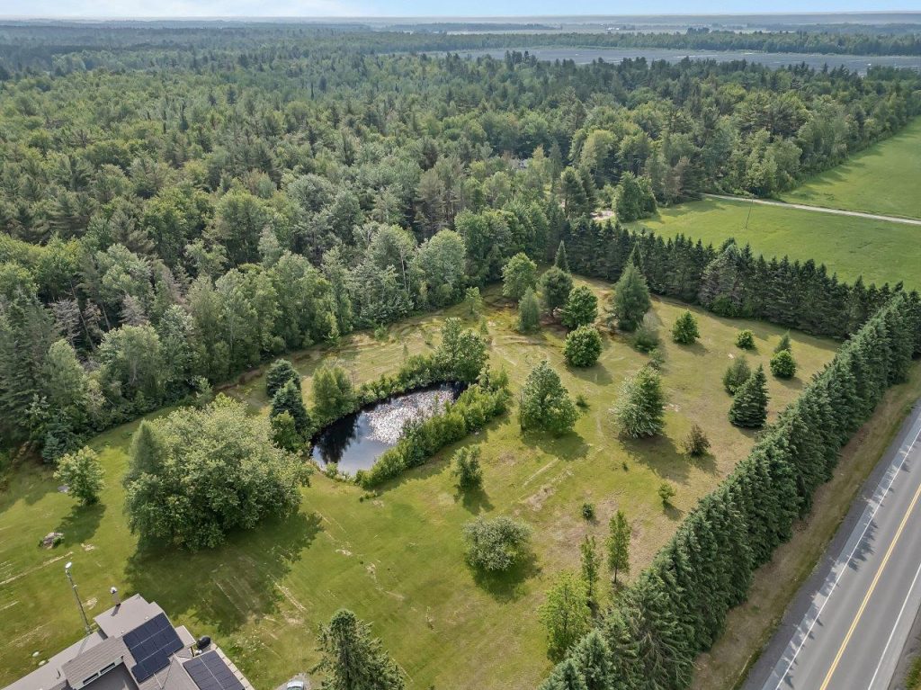Image_1