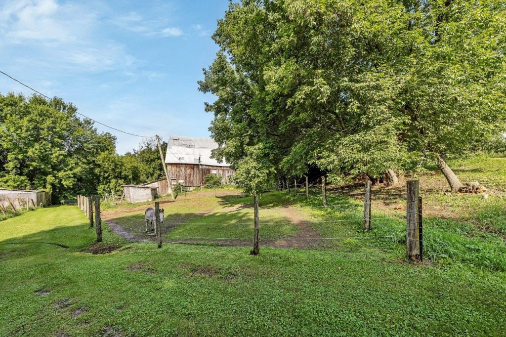 1150 Brazeau Rd Clarence-Rockland by Steve Brunet (19)